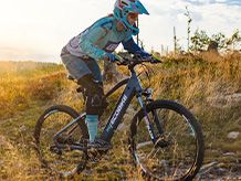 Biciclete electrice