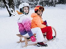Accesorii pentru sănii și boburi